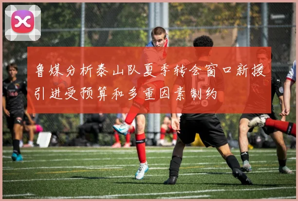 鲁媒分析泰山队夏季转会窗口新援引进受预算和多重因素制约